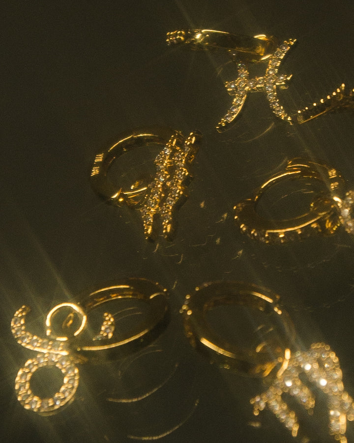 ZODIAC JUNKIE CHARM - The Highline Jewelry