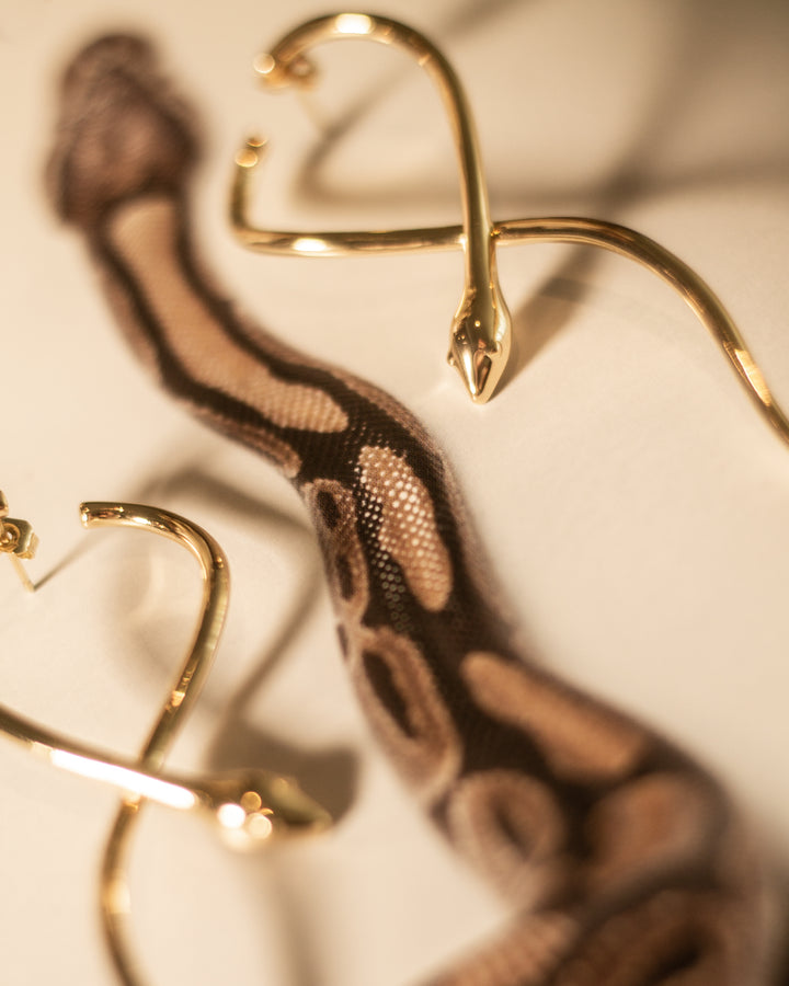 MEDUSA - The Highline Jewelry
